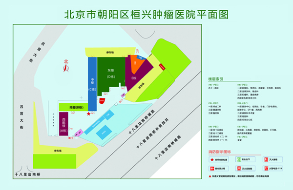 鸡扒黄色每日更新网址电影院北京市朝阳区桓兴肿瘤医院平面图